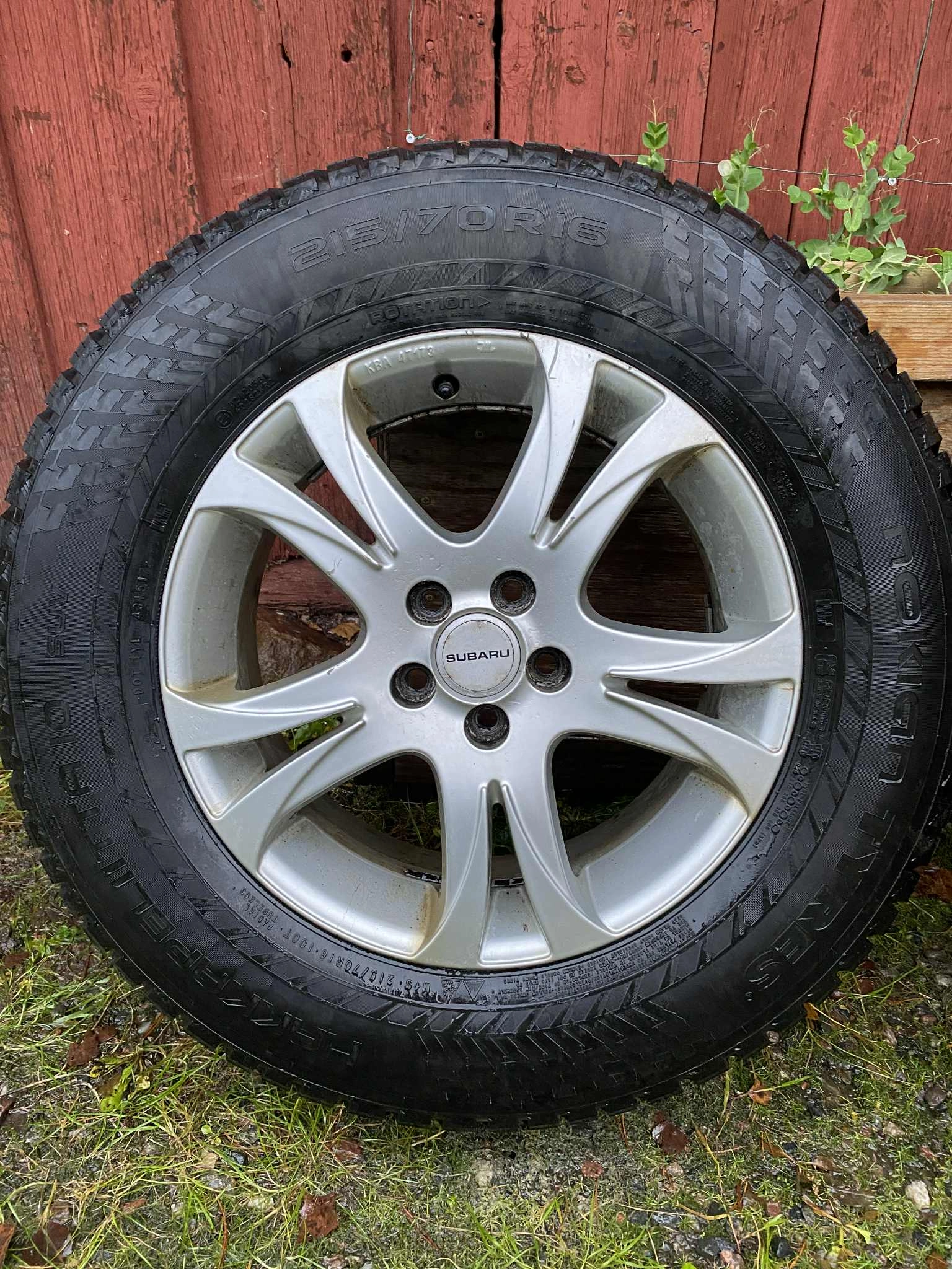 Huvudbild för Nokian hakkapeliitta 10 suv