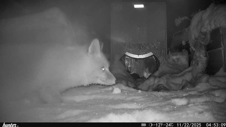 Huvudbild för Ockelbo 400